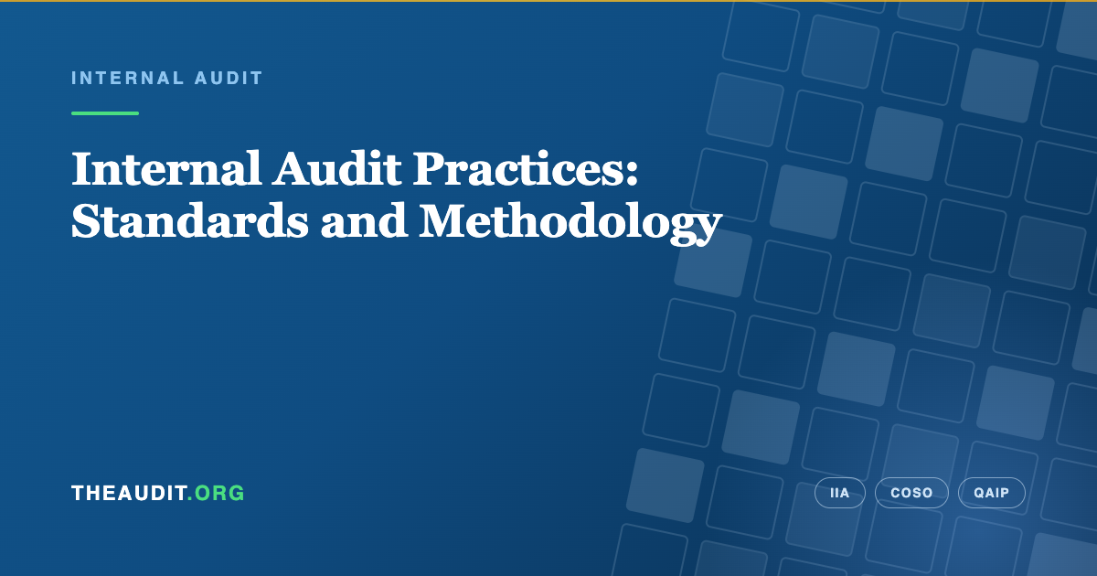 Internal Audit Practices: Standards and Methodology — TheAudit.org